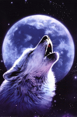 Night_Blood
